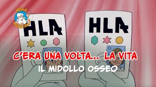 Siamo fatti così la vita 🌱 Il midollo osseo [upl. by Acsicnarf]