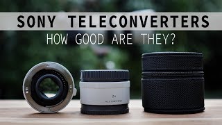 Sony 2x and 14x Teleconverters  How Good Are They [upl. by Norri]