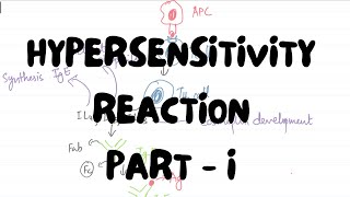 Hypersensitivity Reaction Part I  Microbiology [upl. by Htidirrem253]