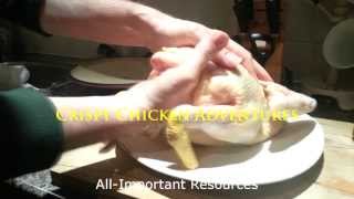 Crispy Tender Perfect Roast Chicken [upl. by Christie721]