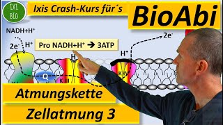 Atmungskette oxidative Phosphorylierung oder Endoxidation Zellatmung detailliert Abitur Biologie [upl. by Eznyl]