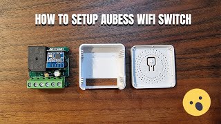 Aubess Basic Smart WiFi Switch Setup and Configuration [upl. by Diver]