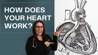 Demystifying Your Hearts Journey An Epic Cardiovascular System Tour [upl. by Peony864]