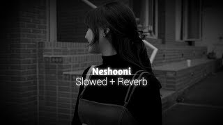 Neshooni  Slowed Reverb  FG [upl. by Lehcsreh]