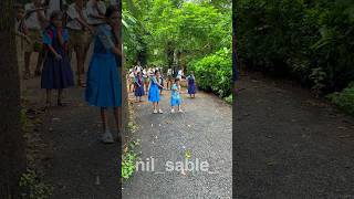 Ganulya majha distoy chhan  direction nilsable sairajkendre ganpati ganpatisong dance song [upl. by Navoj]