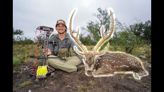 FIRST EVER Axis Deer with UV 1K ARROWS Slo Mo Kill Shot [upl. by Ayo463]