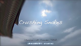 Crushing Snakes  Passion ft Crowder TAYA ART Music amp Video [upl. by Michaeline]