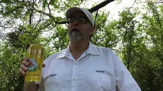 Pacifico Clara Cerveza 45 abv  The Beer Review Guy [upl. by Dolores229]