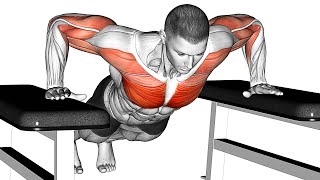 Build Bigger Chest and Arms With Push Ups [upl. by Pages]