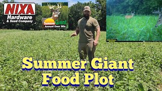 Summer Gaint Food Plot  Nixa Hardware Food Plots [upl. by Chassin287]