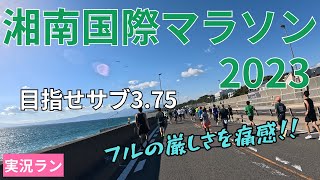 【サブ375を目指す】湘南国際マラソン2023 実況ラン [upl. by Nirtak714]