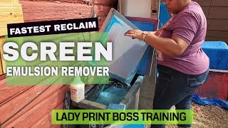 How To Remove Emulsion From Screens and Reclaim Them At Home 2021 [upl. by Rubetta]