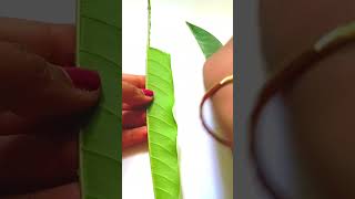 DIY Mango leaf cute bag । Must try this 👆। nature viralshorts leafart [upl. by Minnnie]