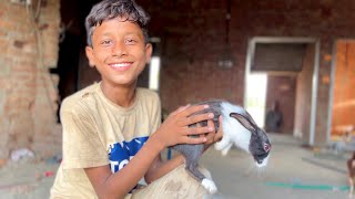 My New Rabbit 🐇😍  Dawood Sabir Vlogs [upl. by Aneeb627]