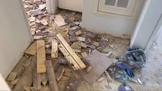 How to demo glued down wood flooring [upl. by Wilfreda432]