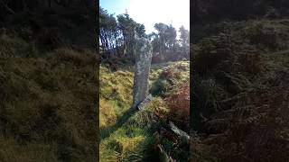 Cool East Ogham Stone Valentia [upl. by Odnomra]