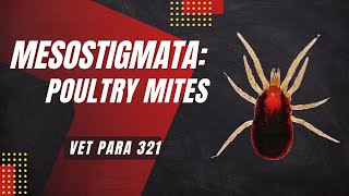 VET PARA 1  Mesostigmatid Mites Poultry Mites  Chapter 82 [upl. by Mulcahy]