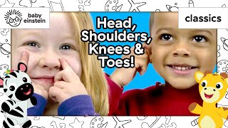 Head Shoulders Knees amp Toes  Baby Da Vinci  Learning Show for Toddlers  Kids Cartoons [upl. by Nanek]