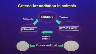 The Case For and Against Food Addiction with Robert Lustig [upl. by Sulrac]