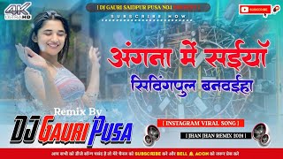 Angana Me Saiya Swimming Pool Banwaya Dj Remix New Instagram Viral Song Mix By DjGauri Saidpur [upl. by Teodor]