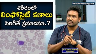 Reasons For High Lymphocyte Count  Lymphocytosis  Dr Karuna Kumar  Hematologist [upl. by Juieta]