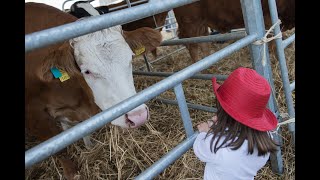 Mostra Agricola Campoverde  2024  Fiera Nazionale [upl. by Arondell489]