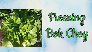 How to Freeze Bok Choy [upl. by Fabrin]