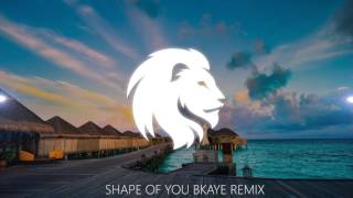 Ed Sheeran  Shape Of You BKAYE Remix [upl. by Namajneb]