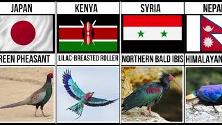 Part1 National Birds From Different Countries  National Birds With There Countries [upl. by Gnanmos]