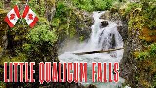 Should you add a visit to the Little Qualicum Falls to your Vancouver Island bucket list [upl. by Nagram]