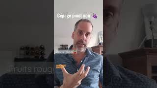 Le pinot noir  le meilleur cépage  🍇 [upl. by Yor]