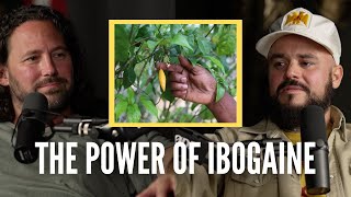 The Power of Ibogaine over Opioid Addiction  Ed Clay amp Edward Crowe [upl. by Delwyn]