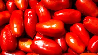 The Untold Truth Of San Marzano Tomatoes [upl. by Shel454]