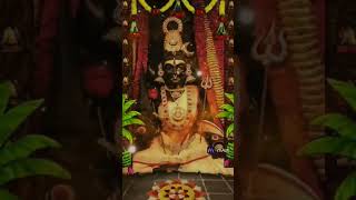 Vaishnavi bhargavi vagdevi please subscribe [upl. by Matazzoni]