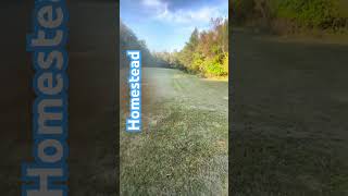 Acres of freshly cut grass for the HOMESTEAD nature survival treehousemasters fallenleaves [upl. by Eiralam]