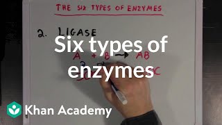 Six types of enzymes  Chemical Processes  MCAT  Khan Academy [upl. by Samalla]