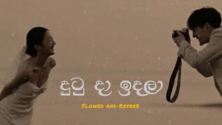 Ditu da idala   දුටු දා ඉදලා Slowed and Reverb [upl. by Laicram384]