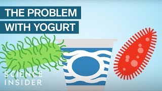 Yogurt Is More Unhealthy Than You Think [upl. by Noble]