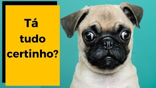 DOENÇA DO OLHO DO CACHORRO  Principais Sinais  como identificar  😱 [upl. by Eizeerb330]