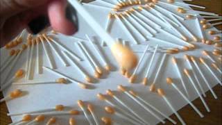 How To Make 100 Scentsy Samples From 1 Cube Of Wax [upl. by Schacker998]