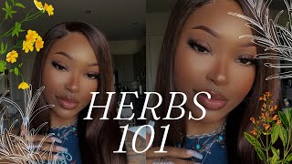 HERBS 101 ✰ BEST HERBS TO SMOKE BREW amp BATHE WITH ✰ HERBAL PREROLLS amp THE BENEFITS [upl. by Rebbecca]