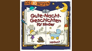 Der kleine Prinz der nicht schlafen wollte  Kapitel 1 [upl. by Boyes]