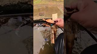 Rain gutters clogged with debris clogged automobile remove satisfying unclog fishing water [upl. by Aihtnamas]