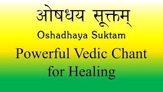 POWERFUL Mantra for Medicinal Healing  Oshadhaya Suktam  Yajur Veda  Produced by Sri K Suresh [upl. by Orlene]