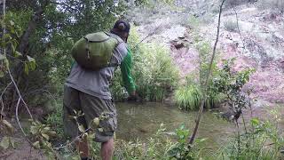 Fishing Haigler Creek [upl. by Rebeca965]