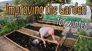 Planting Garlic and improving the garden for winter [upl. by Ydassac]