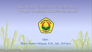 Alkaloid turunan fenilalanin tirosin dihidroksifenilalanin [upl. by Dorey565]