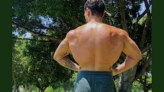 Calisthenics BACK workout for strength skill and size [upl. by Cordy]