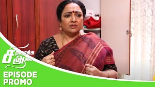 Siragadikka Aasai  Episode Promo  20th November 2024 [upl. by Hutson293]