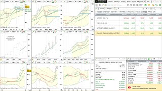 Analyse dynamique croisée avec lapproche Tradosaure [upl. by Einnaf]